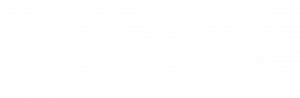 Logo Nancy Striehn weiß