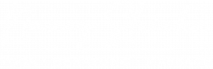 Logo Nancy Striehn weiß