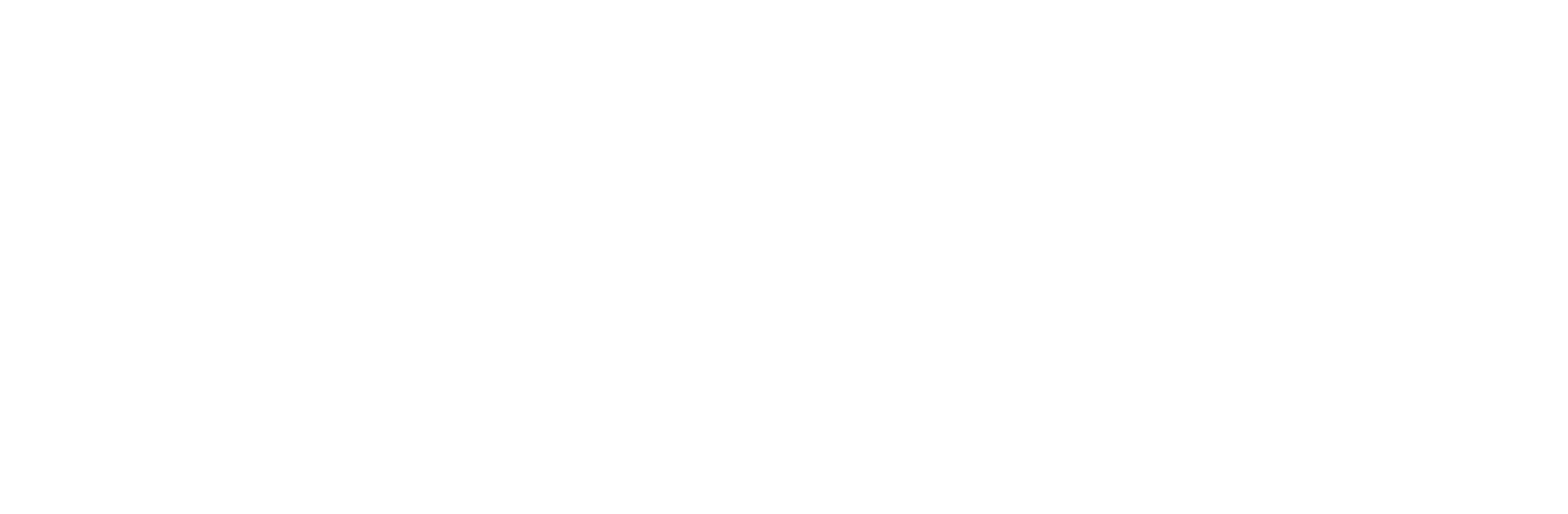 Logo Nancy Striehn weiß