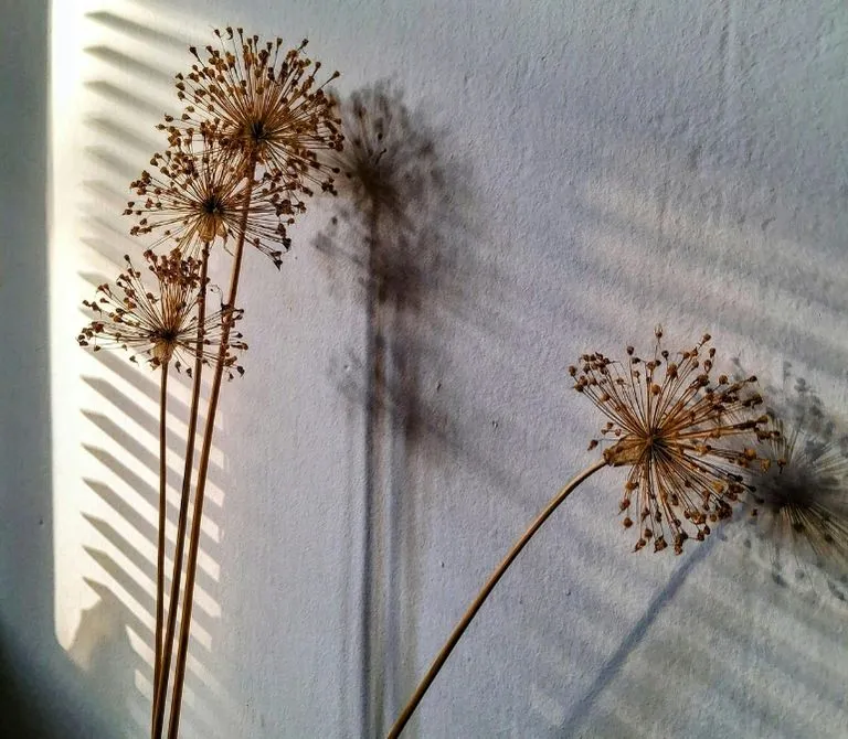 Beratungsgespräche